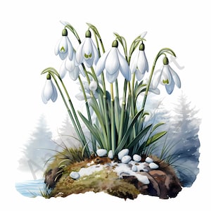13 sneeuwklokjes clipart, lentebloemen clipart, afdrukbare aquarel clipart, hoge kwaliteit jpg's, digitale download, Paper Craft, ongewenste tijdschriften