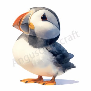 Clipart de papagaio-do-mar fofo aquarela | Adorável pacote de clipart de papagaio-do-mar fofo | 16 designs de alta qualidade | Arte da Vida Selvagem | Imprimíveis | Uso comercial