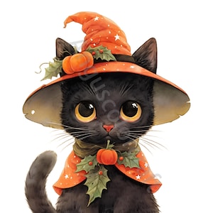 13 JPG aquarel Halloween zwarte kat clipartbundel schattige kat clipart Halloween leuke Halloween clipart pompoen clipart commercieel gebruik Craft