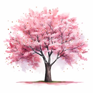 Aquarel kersenbloesem boom clipart, Sakura, 15 hoge kwaliteit JPG's, digitale download, kaart maken, presentaties, mixed media, papier ambachtelijke