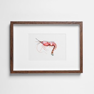 Gouache Shrimp Painting Artwork (Quirky Digital Print)