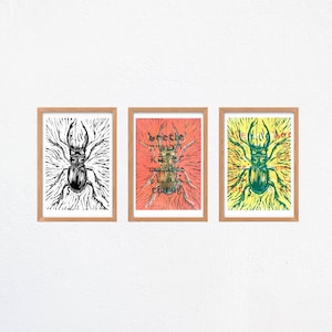 Colorful Beetle Linocut Artwork (Digital Bug Prints)