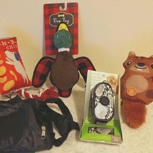 Dogs Toys with Dog Accessories