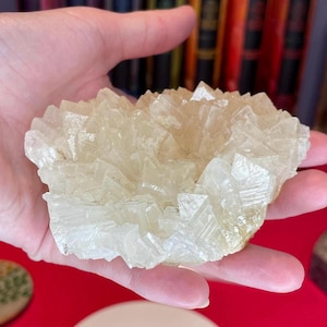 Indonesisch calcietmonster: kristalgenezingsdecor