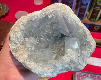 Celestit Geode 3,75 Pfund