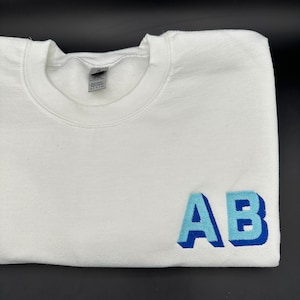May include: White sweatshirt with a blue and light blue embroidered "AB" on the right side.