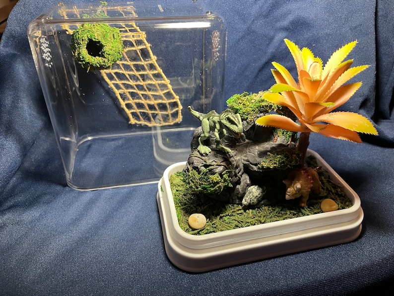 Jumping Spider Enclosure - Etsy
