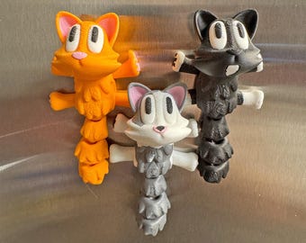 RFSCats Magnet Set