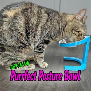May include: A tabby cat eating from a blue elevated pet bowl. The bowl is stainless steel and sits in a blue plastic frame. The text "ORIGINAL Purrfect Posture Bowl" is displayed in green and pink.