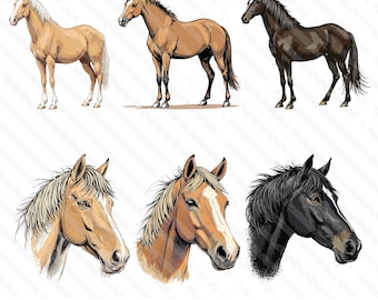 Horse Bundle PNG, Western Horse Western Desert Design Download, Western Design For Products, Rodeo png, Cowboy Style PNG, Western PNG