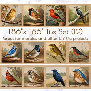 Vintage Bird Set of 12 Tiles for Crafts, Magnets, and DIY Projects | 1 dozen 1.86" tiles | Mosaic Craft Supplies | Magnet Making Supplies