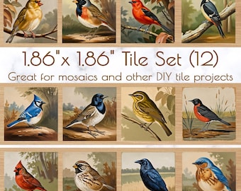 Vintage Bird Set of 12 Tiles for Crafts, Magnets, and DIY Projects | 1 dozen 1.86" tiles | Mosaic Craft Supplies | Magnet Making Supplies