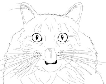 Cat coloring pages!