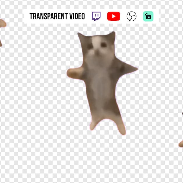 Transparent Stream Alert video Background Happy cat meme Decoration for Channel Rewards and for Content Creators using Youtube OBS Twitch