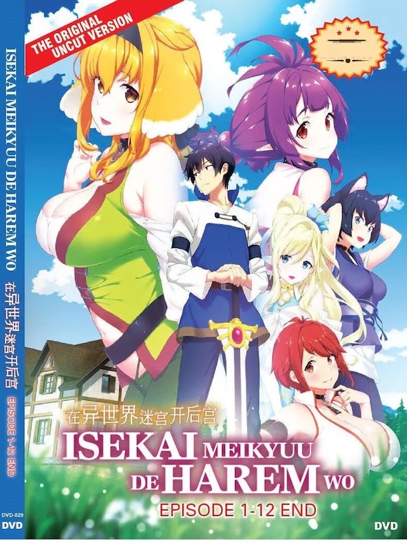 DVD アニメ ノーカット版 異世界迷宮でハーレムを 1-12巻完結