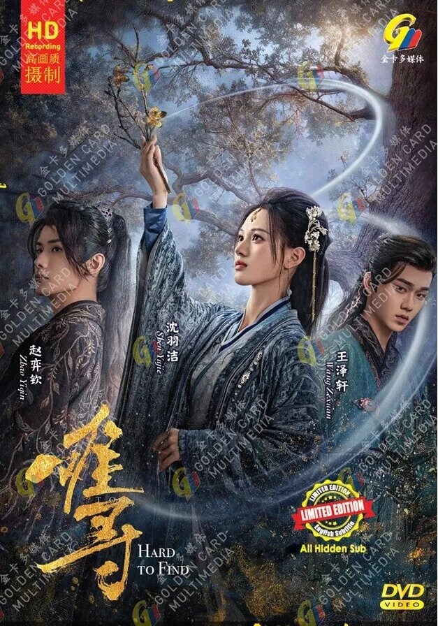 DVD Chinese Drama Series Hard to Find 难寻 (1-28 End