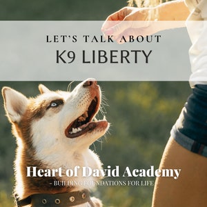 May include: A brown and white husky dog looking up at a person holding a treat. The dog is wearing a brown leather collar with metal rings. The text "Let's Talk About K9 Liberty" is displayed above the dog and the text "Heart of David Academy - Building Foundations for Life" is displayed below the dog.