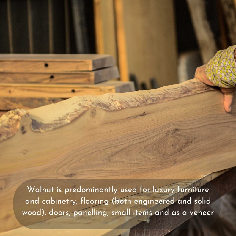 Minimalist Home Live Edge Wall Shelves Rustic Walnut Wood Floating