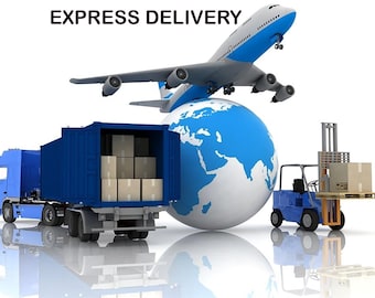Puede incluir: Imagen de un avión azul y blanco volando sobre un globo azul, con un camión azul y una carretilla elevadora. El contenedor del camión está abierto, revelando varias cajas de cartón. El texto "EXPRESS DELIVERY" está en la parte superior.