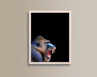 Mandrill Animal Poster Art, Exclusive Print for Wall Decoration, Perfect Gift for Art Lovers and Animal Enthusiasts