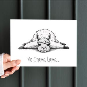 Postcard "No Drama Lama" funny sayings Postcard art postcard beautiful postcard birthday wedding set alpaca llama queen ConfettiCards
