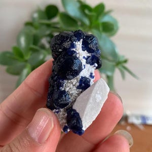 BlueBerry Fluorite Crystal from Inner Mongolia, Deep Blue Fluorite Cluster, Mineral Specimen, Fluorite Collection, 50g