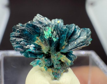 Druzy Blue Veszelyite Crystal Cluster, Raw Mini Veszelyite Mineral from Dongchuan Dist, Yunnan, China, Mineral Specimen