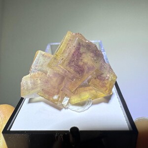 【37g】中国 安徽省産 イエローフローライト パープルファントム クラスター Anhui fluorite - Etsy 日本
