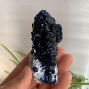 Cristal de fluorita de color arándano de Mongolia Interior, cúmulo de fluorita azul intenso, espécimen mineral, colección de fluorita, 166 g