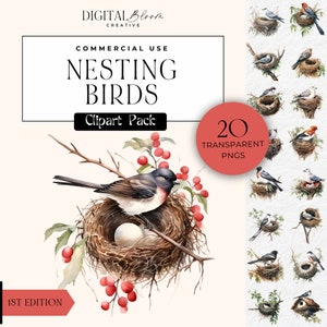 Nido de aves Clipart Jardín Aves Nido PNG Naturaleza Gráficos Aves silvestres con huevos Clip Art Acuarela Clipart Descarga digital Uso comercial