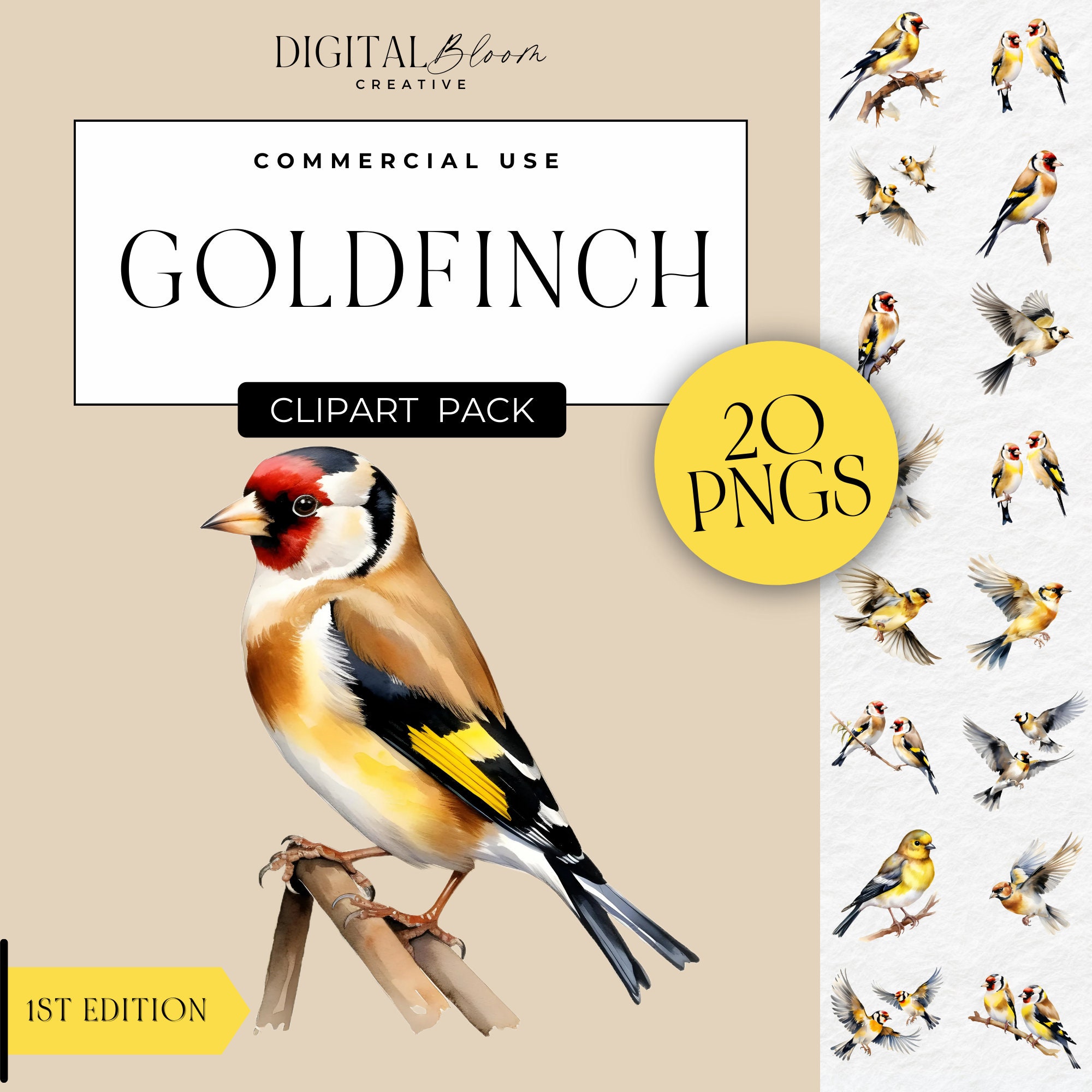 Goldfinch Clipart, Watercolor Cute Garden Birds PNG, American Goldfinches, Invitation Clip Art, Instant Digital Download, Commercial Use