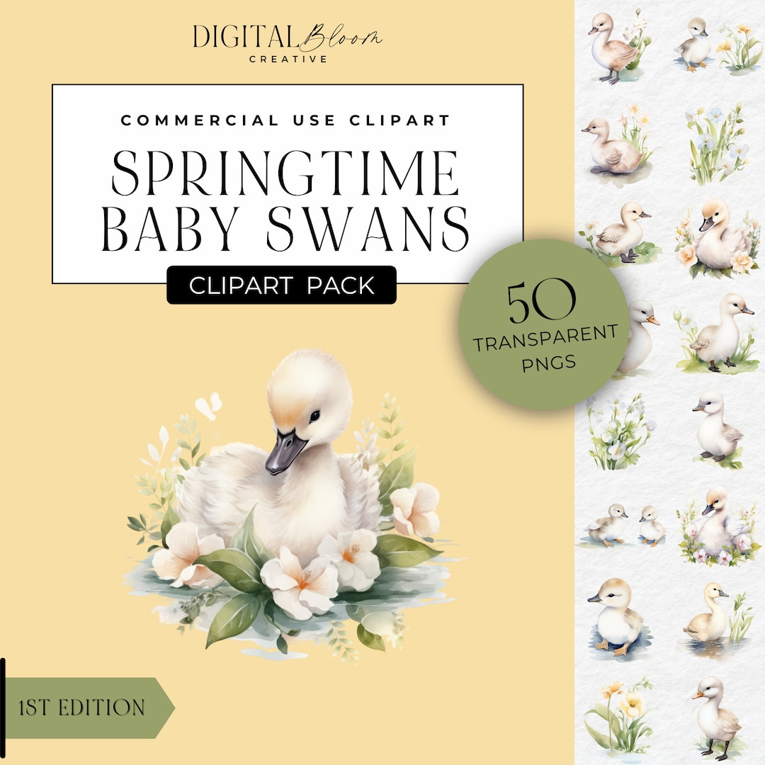 Baby Swan Clipart, Spring Cygnets, Swan Baby Shower Invitation Bundle ...