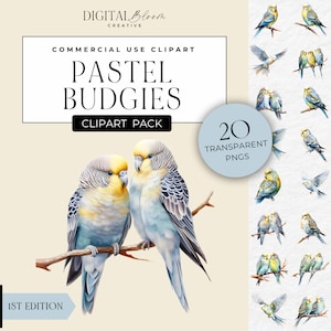 Budgie Clipart Pastel Spring Birds Clip Art Parakeet PNG Graphics Canary Parrot Party Invite Images Instant Digital Download Commercial Use