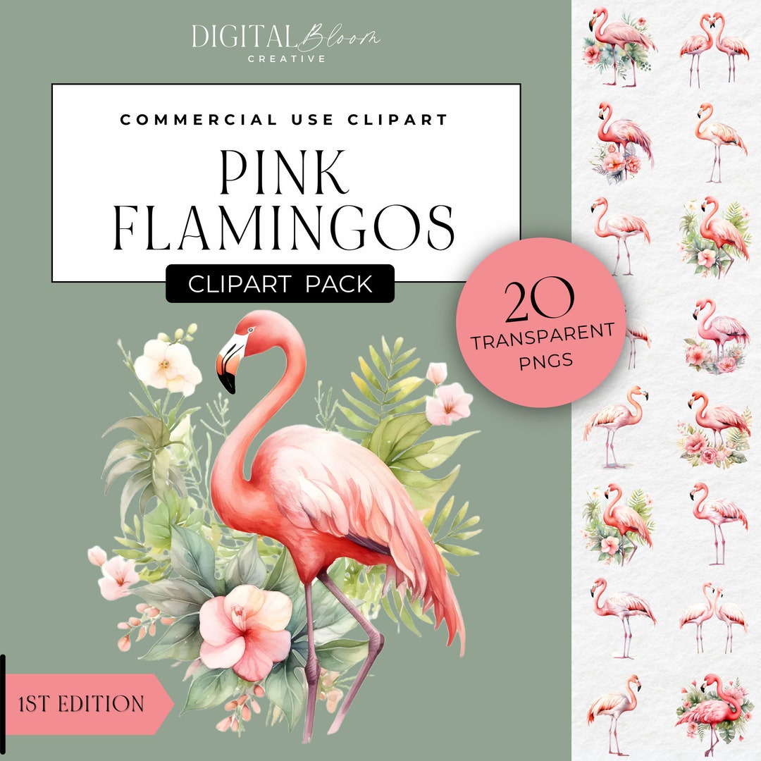 Pink Flamingos Clipart Tropical Bird PNG Graphics Summer Flamingo ...
