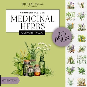 Clipart d'herbes médicinales, botanique de cuisine PNG, graphiques de verdure, santé à base de plantes, illustration d'herbes, clipart numérique, usage Commercial