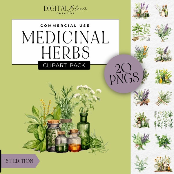 Medicinal Herbs Clipart, Botanical Kitchen PNG, Greenery Graphics, Herbal Health, Herbs Illustration, Digital Clip Art, Commercial Use