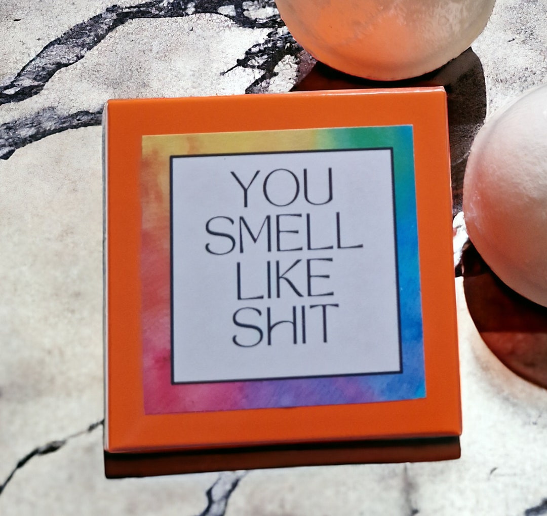 YOU SMELL LIKE Bath Bomb Joke Gift Funny Insulting Rude Etsy
