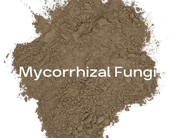Mycorrhizal Fungi: Plant Root Booster