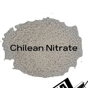 May include: White granular Chilean Nitrate fertilizer. The fertilizer is in a pile and the text "Chilean Nitrate" is printed on the image.