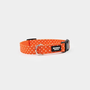Hundhalsband med prickigt mönster i orange – justerbart och robust i bohemisk stil