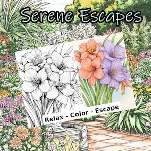 Printable Coloring Pages for Adults Relaxation Stress Relief Mindfulness 30 Pages Self Care Digital Download Calming Art Therapy