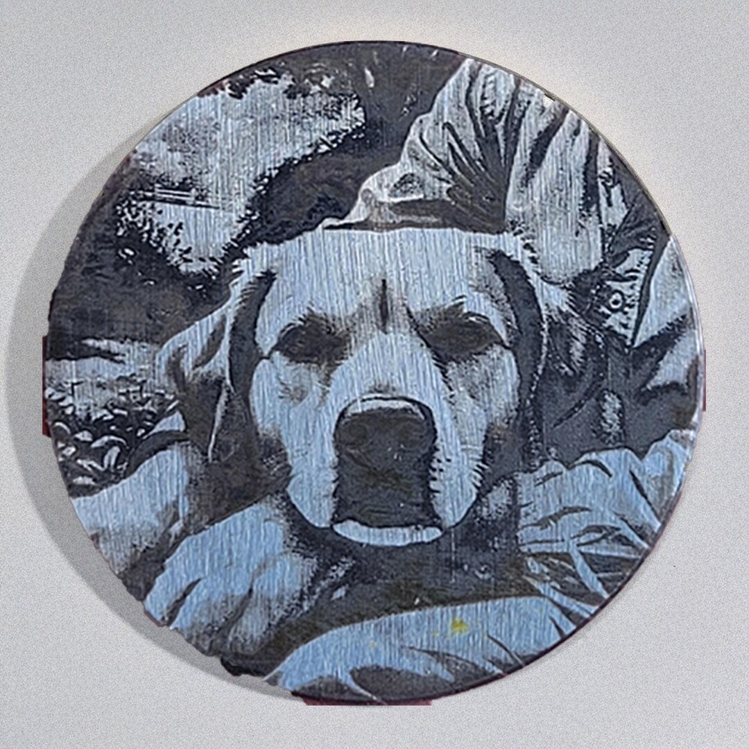 Custom Pet & Person Portrait Coin: Stainless Steel Animal Memorial ...