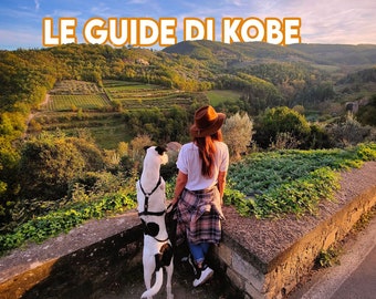 Le guide di Kobe - set di 3 guide