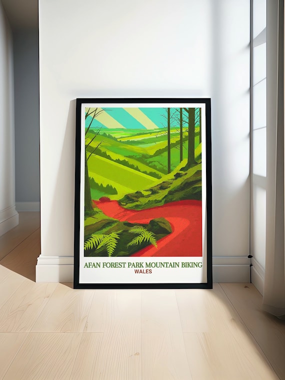 Afan Forest Park Mountain Biking Wall Art Whites Level Travel