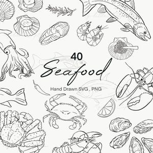 40 ilustrações vetoriais de frutos do mar – clipart SVG e PNG desenhados à mão