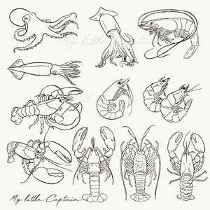 May include: Black and white line art illustration of various seafood, including an octopus, squid, shrimp, and lobster. The phrase "My little Captain" is written in cursive at the bottom of the image.