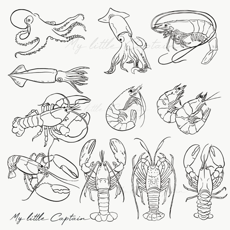 May include: Black and white line art illustration of various seafood, including an octopus, squid, shrimp, and lobster. The phrase "My little Captain" is written in cursive at the bottom of the image.