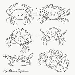 May include: A collection of six crab illustrations in black line art on a cream background. The crabs are depicted in various poses, with claws extended and bodies facing different directions. The text "My little Captain" is written in cursive at the bottom.