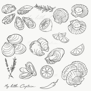 May include: Black and white line art illustration of various seafood elements, including oysters, scallops, and mussels. Also includes lemon slices, rosemary, and a chili pepper. The text "My little Captain" is written in cursive.