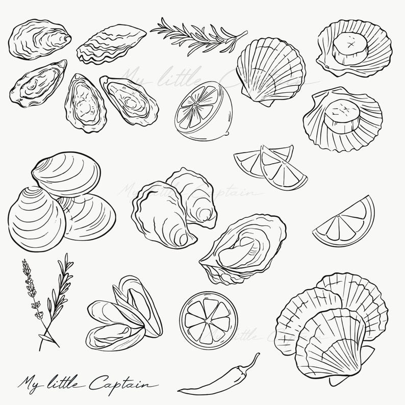 May include: Black and white line art illustration of various seafood elements, including oysters, scallops, and mussels. Also includes lemon slices, rosemary, and a chili pepper. The text "My little Captain" is written in cursive.